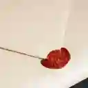 Álbum: Verte. Elegirte Y Amarte