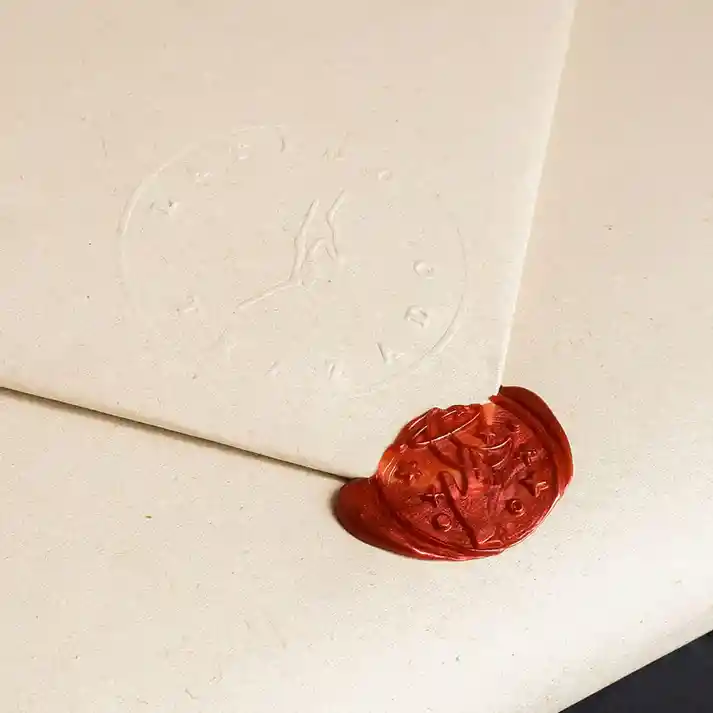 Álbum: Verte. Elegirte Y Amarte