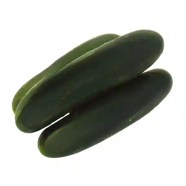 Pepino Cohombro