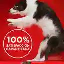 Comida húmeda para perros cachorros y adultos sabor a pollo Purina One x 85gr