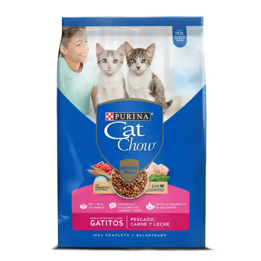 Comida Para Gatitos Purina Cat Chow X 500 Gr