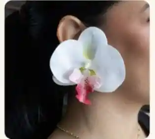 Aretes Para Carnaval Ari Vega