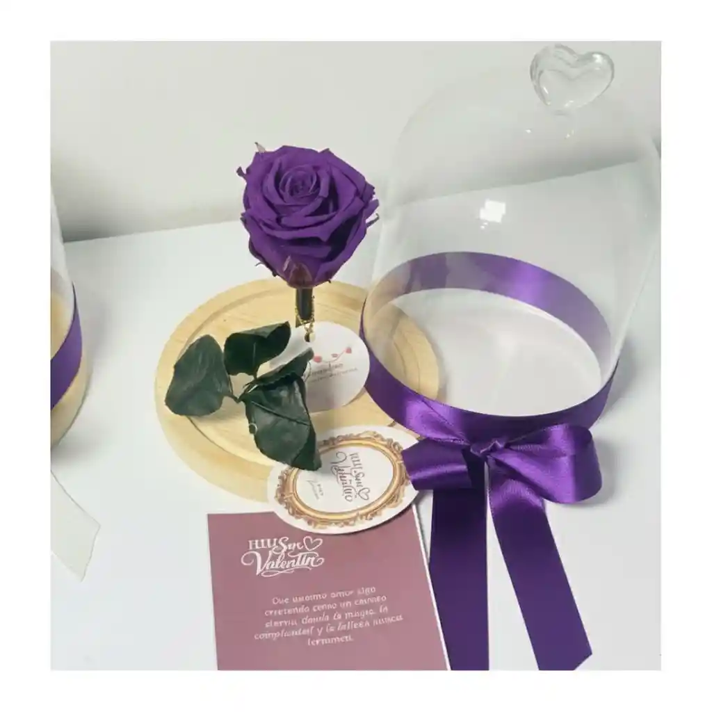 Cúpula Mediana Morada Con Rosa Y Luces Led Regalo Dia De La Mujer (entrega Hoy)