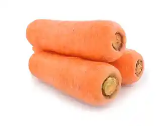 Zanahoria
