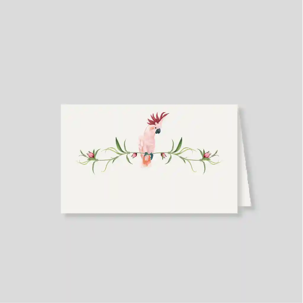 Notas Dobles Con Sobre Cacatua Pembe (www.escribana.co)