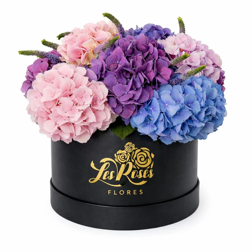Caja Floral De Hortensias Surtidas X6 — envío a domicilio en Bogotá. Flores Les Roses.