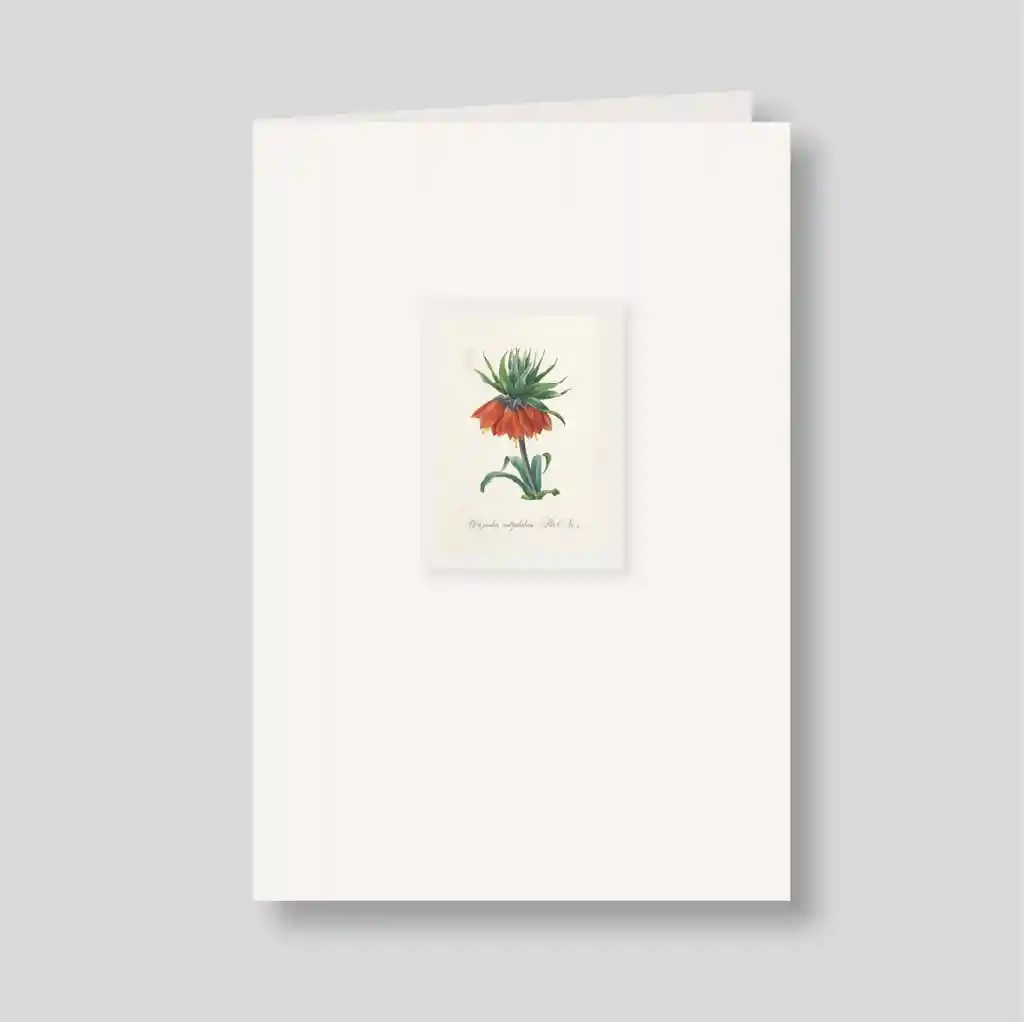 Tarjeton Doble Un Jardín, Mil Palabras. Flor No. 4