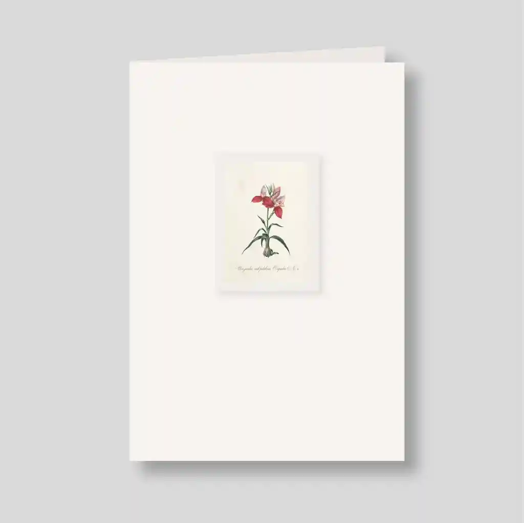 Tarjeton Doble Un Jardín, Mil Palabras. Orquídea No. 6