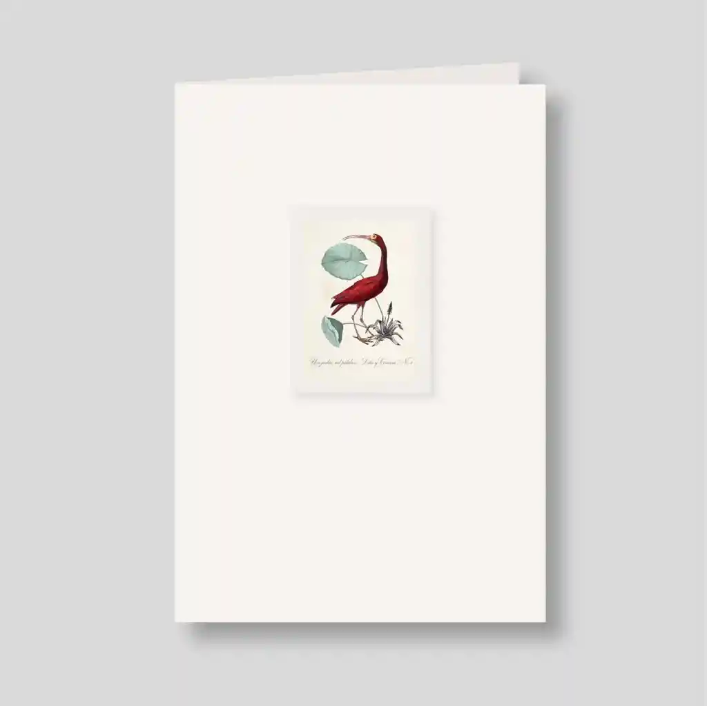 Tarjeton Doble Un Jardín, Mil Palabras. Lotos Y Corocora No. 8