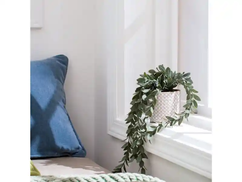 Maceta Con Planta Colgante U