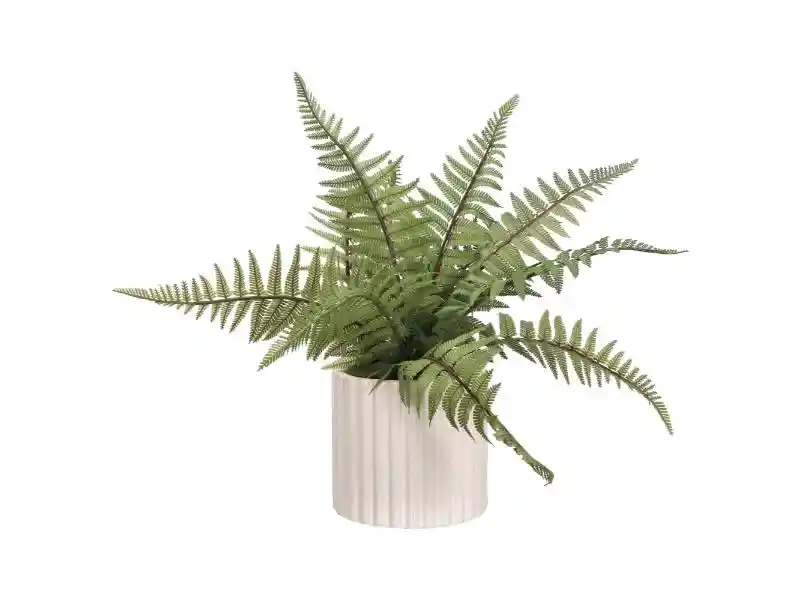 Maceta Con Planta Emboss U