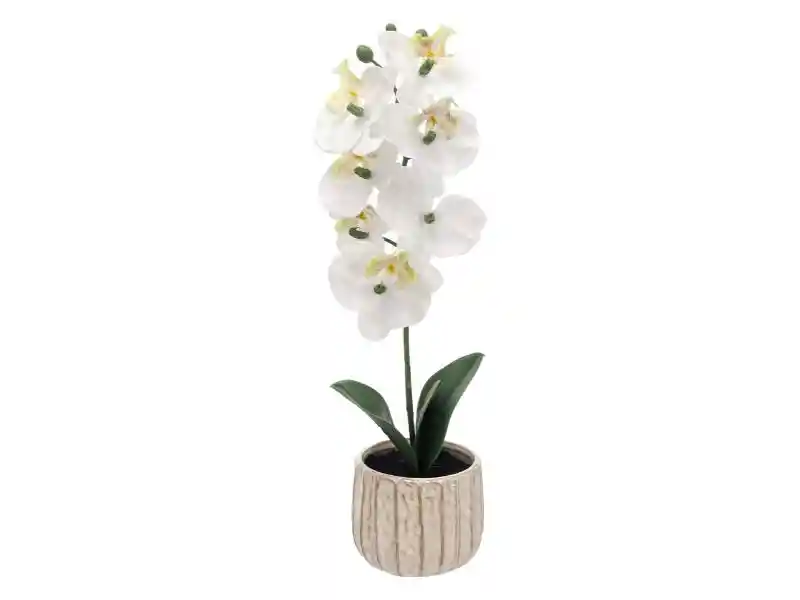 Maceta Flor Orquídea M U