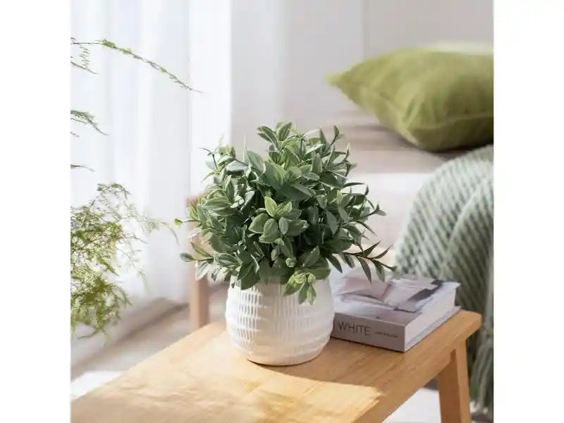 Maceta Texturada Con Planta De Cerámica U