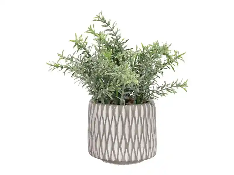 Maceta Texturada Con Planta De Cerámica U