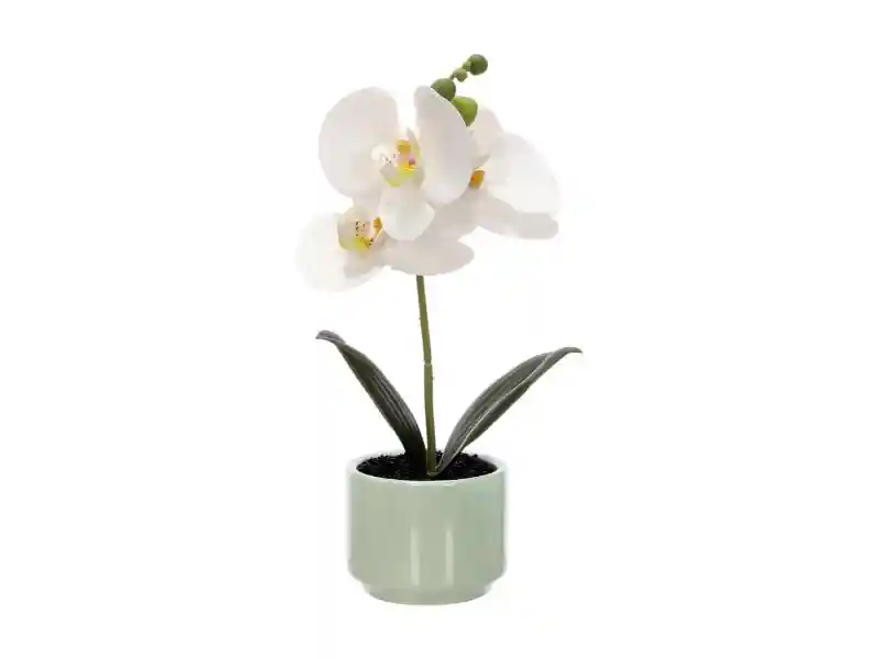 Maceta Flor Orquídea Pequeña S U