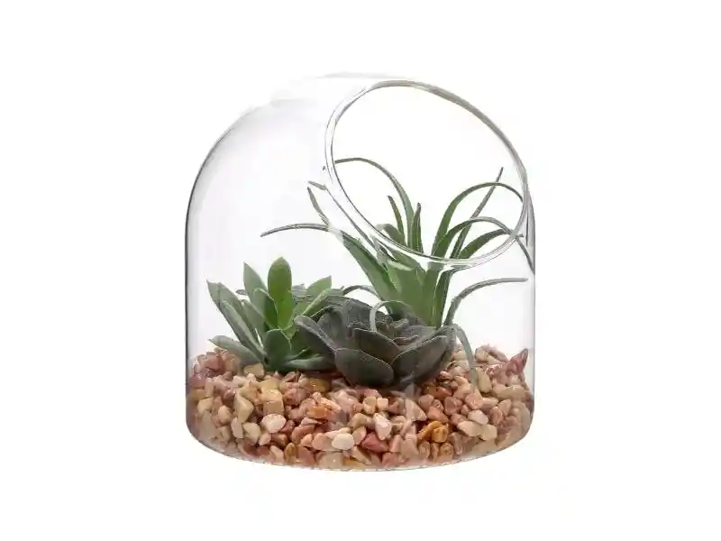 Terrario Con Cactus De Vidrio U