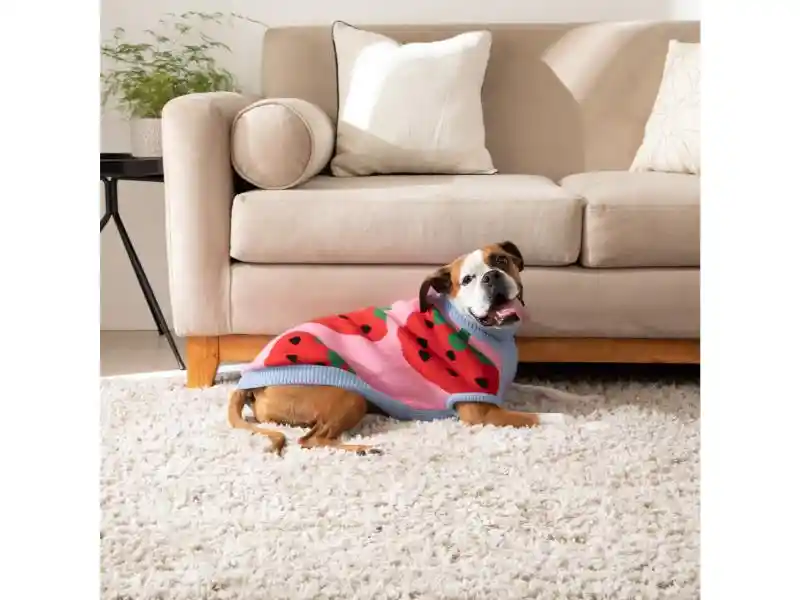 Chaleco Para Mascota Con Diseño Tejido L