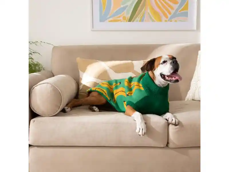 Chaleco Para Mascota Con Diseño Tejido L