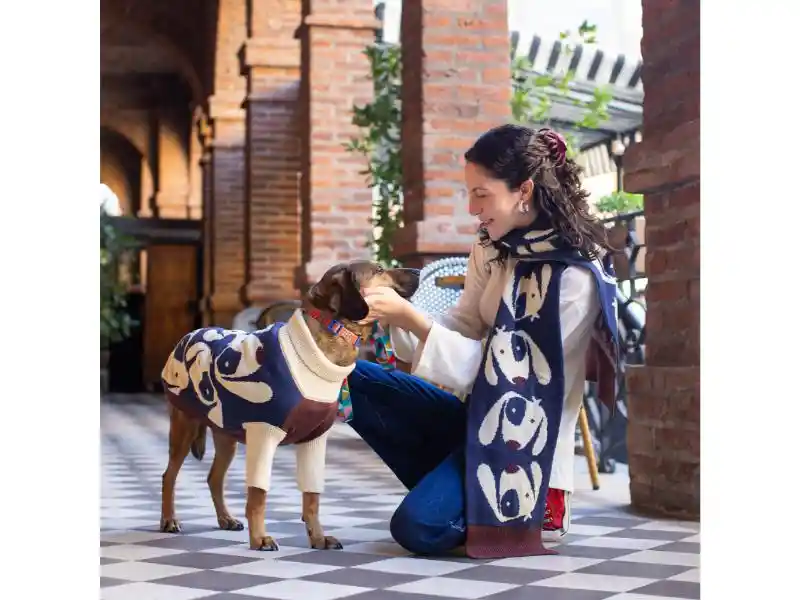 Chaleco Para Mascota Con Diseño Tejido L