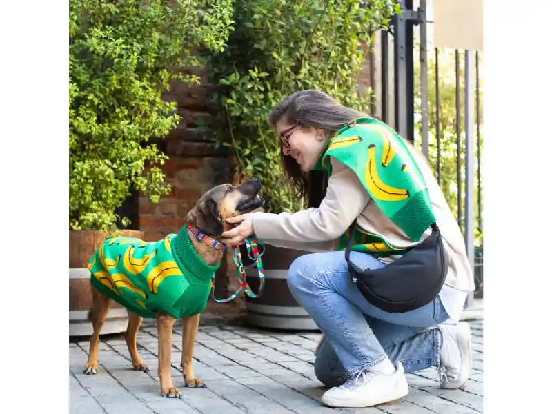 Chaleco Para Mascota Con Diseño Tejido M