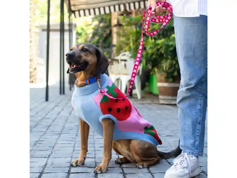 Chaleco Para Mascota Con Diseño Tejido M