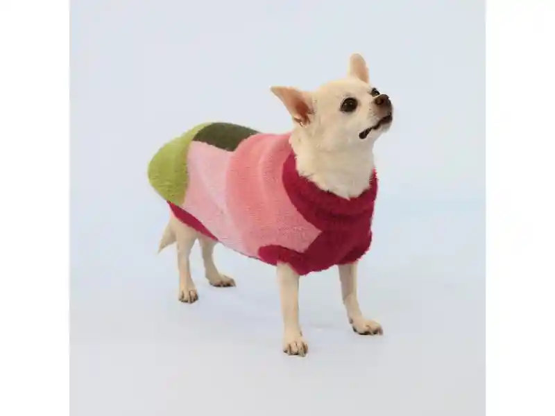 Chaleco Para Mascota Con Diseño Tejido S