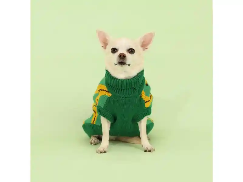 Chaleco Para Mascota Con Diseño Tejido S