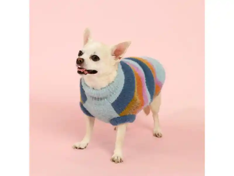 Chaleco Para Mascota Con Diseño Tejido S