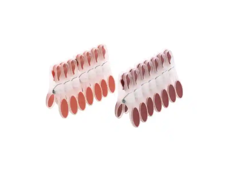 Set 14 Pinzas Para Ropa De Plástico