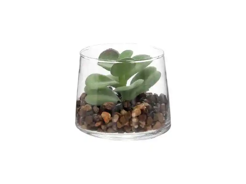 Maceta Con Cactus De Vidrio U