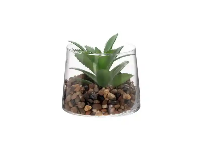 Maceta Con Cactus De Vidrio U