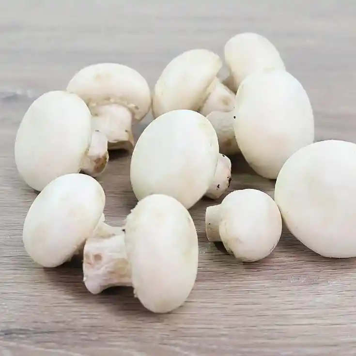 Champiñon Entero