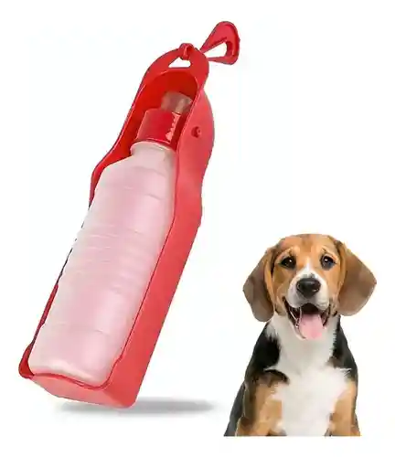 Bebedero Para Paseos