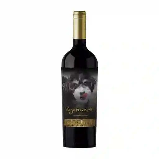 Vino Tinto Syrah Gran Reserva Vagabundo Wines