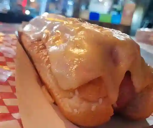 Perro Sencillo