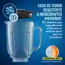 Osterizer Licuadora Max 1 Velocidad + Pulso Plata