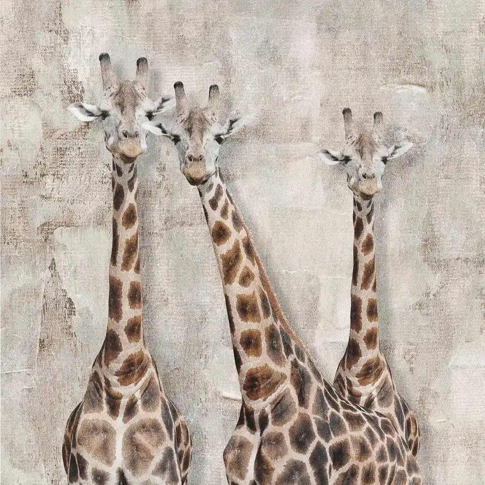 Canvas 20x20 Cm Animales 01