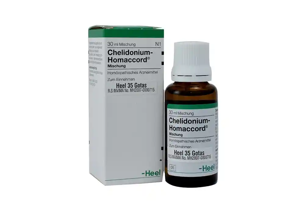 Chelidonium Homaccord Medicamento Homeopático Solución Oral
