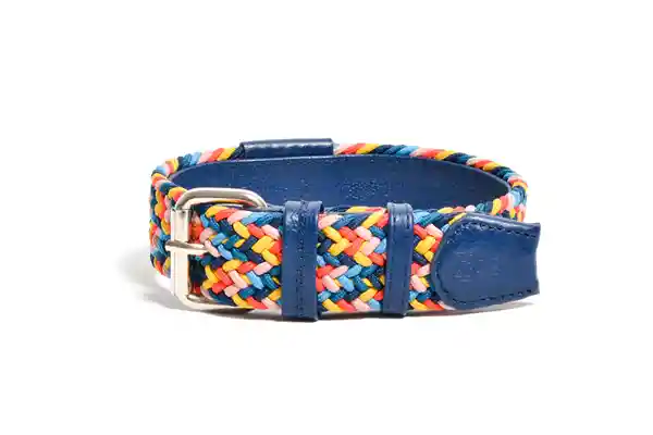 OBI Pets Splies Cloe 35 mm Retro Blue L