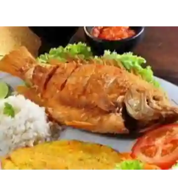 Mojarra Frita