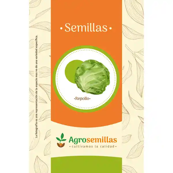 semillas Organicas repollo ornamentales