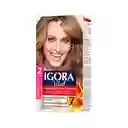 Tinte Igora Vital 8-11 Rubio Claro Cenizo Profundo