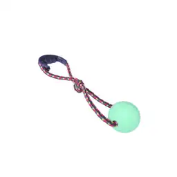 Am Pelota Para Mascota Maciza Lazo Mediana