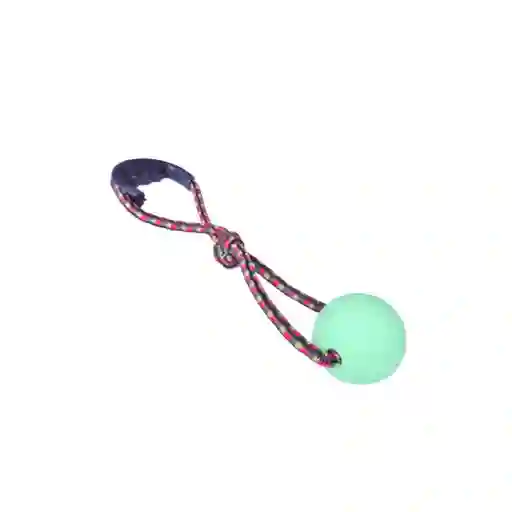 Am Pelota Para Mascota Maciza Lazo Mediana