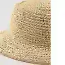 Sombrero Aerie Beige Talla: ONE SIZE 7868109 American Eagle