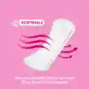 Protectores Kotex Cuidado Diario Super Pack 180 Und