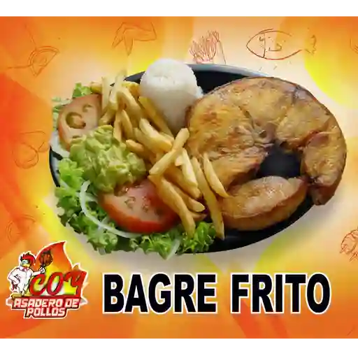 Bagre frito