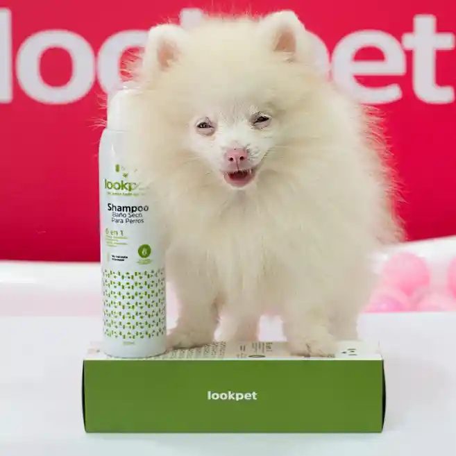 Lookpet Shampoo Baño Seco Para Perro 6 En 1 - 220ml