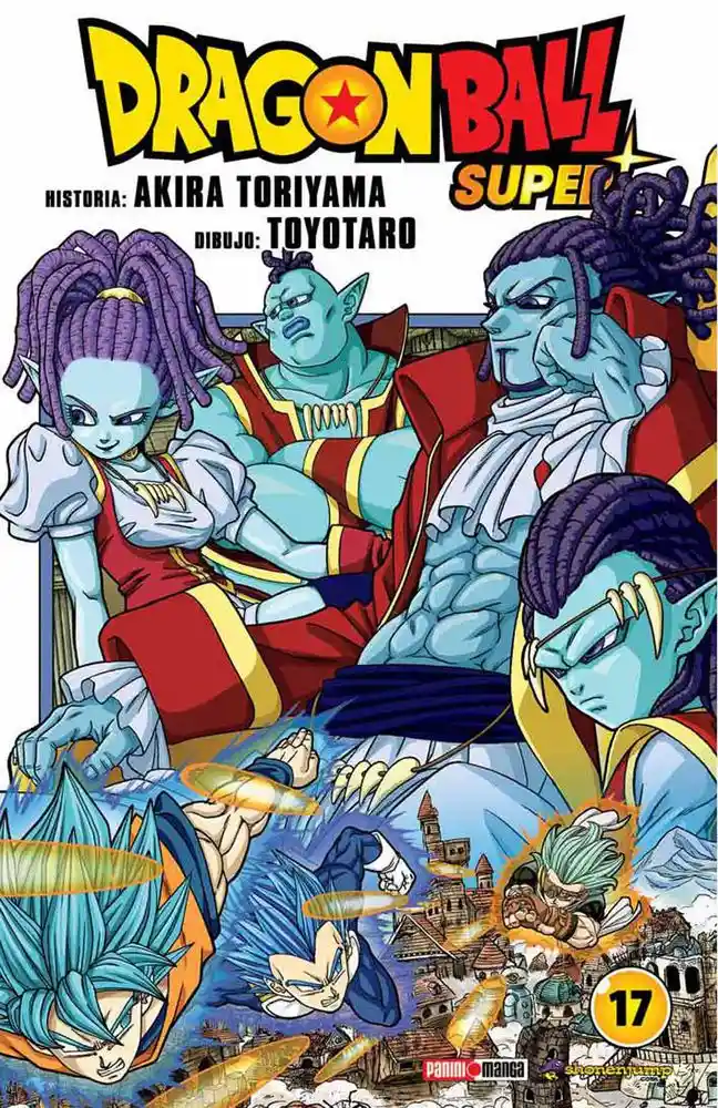 Dragon Ball Super 17 Panini Qdsup017