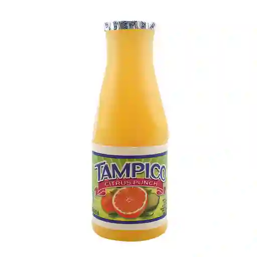 Tampico Citrus Botella x 240 mL